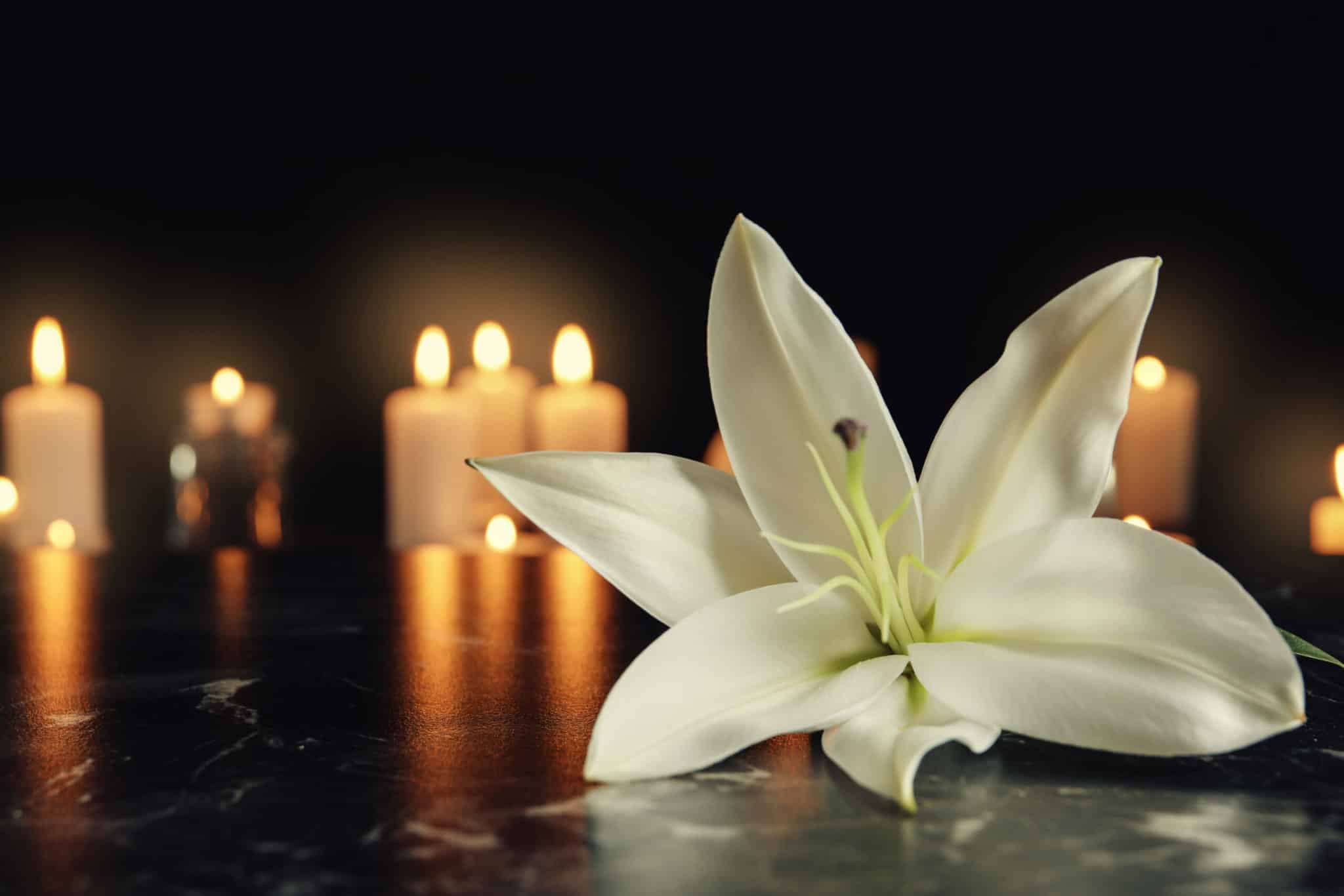 Flower with candles