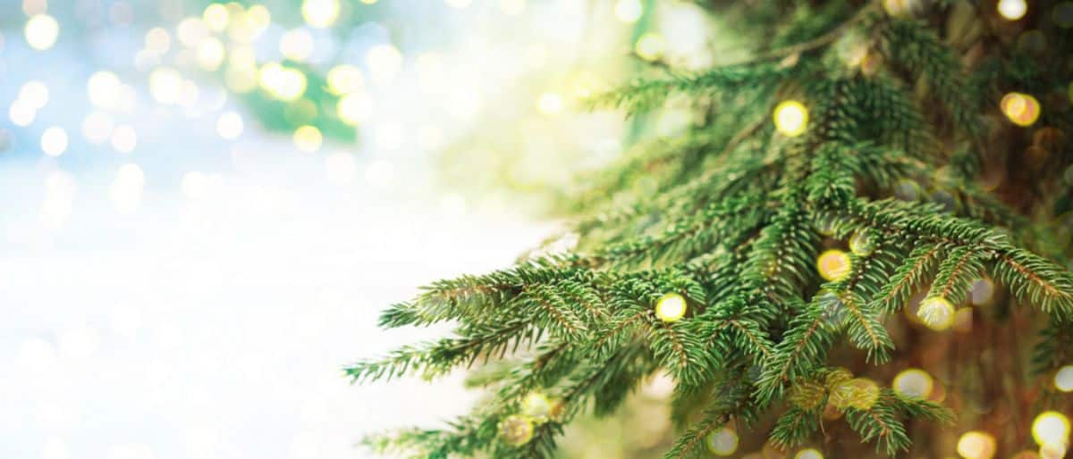 The one place to be this Christmas
