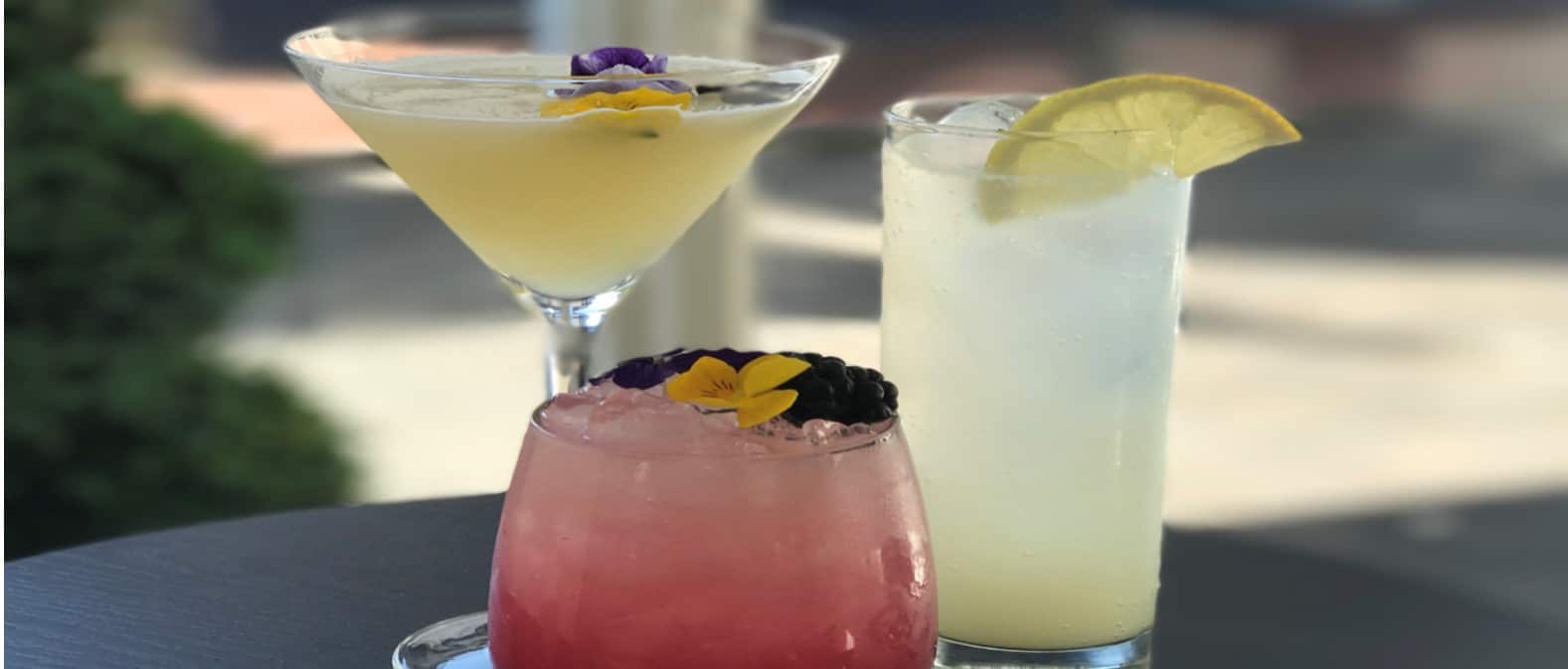 World Gin Day: our favourite ways you can enjoy your gin…