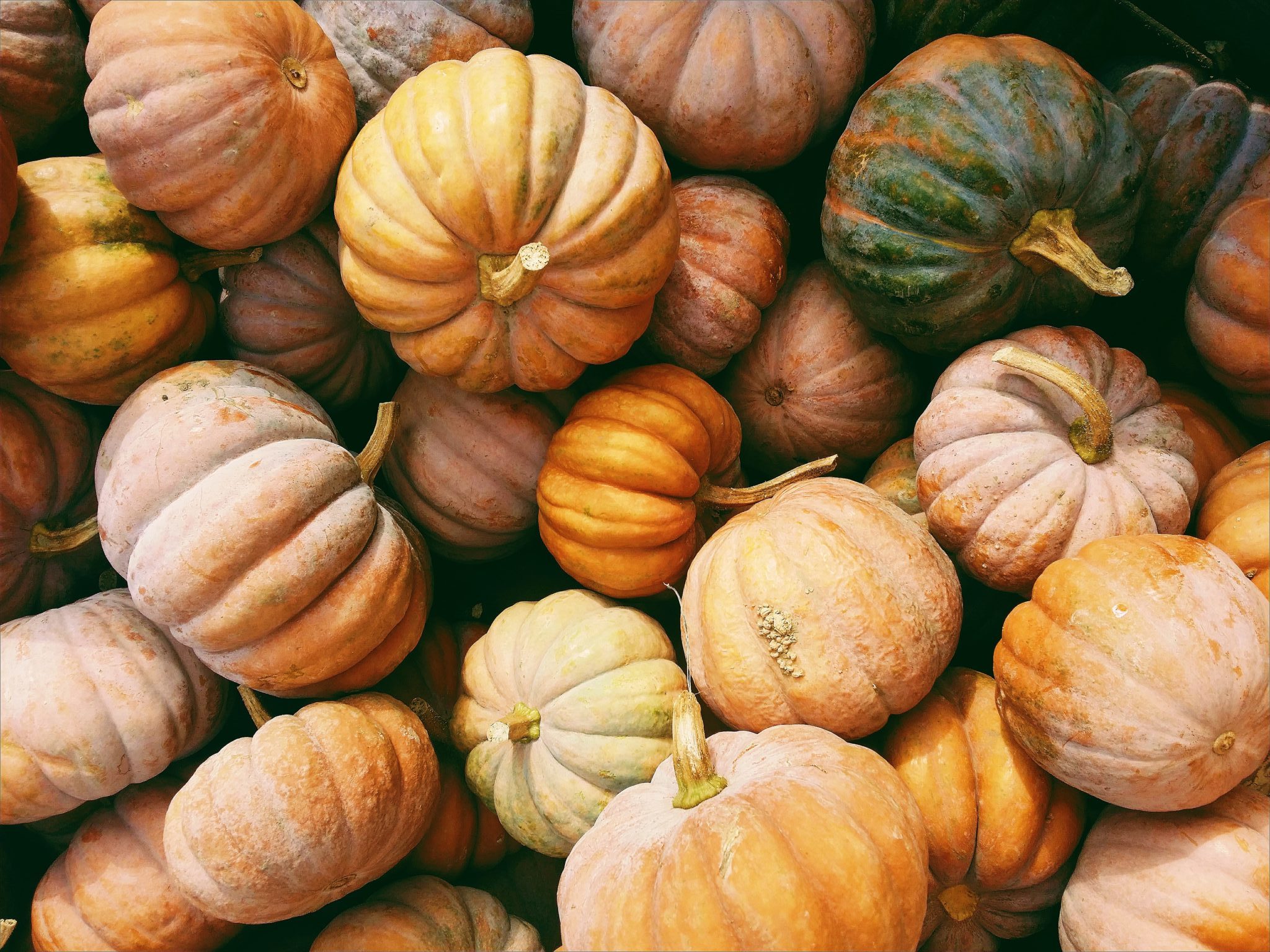 Things to do this October half term in Royal Tunbridge Wells