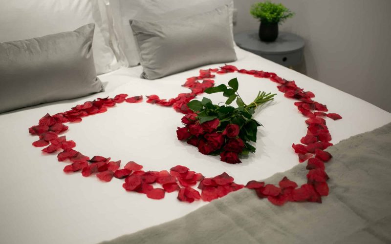 017-The Apartment OWP WEB