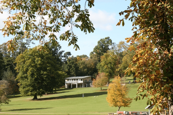 Untitled design (33)